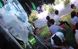 Sân khấu độc đáo làm từ hơn 10.000 bông hoa loa kèn tại Viện Huyết học